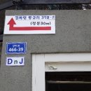 전원애견 이미지