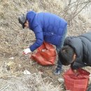 순천시립 공원묘지 이미지