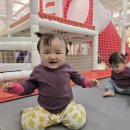 어썸플레닛 이미지