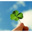 영어(기초) 이미지