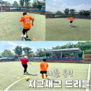 성남종합운동장 풋살구장 이미지