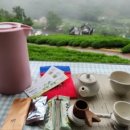 차시배지민박 이미지