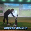 맥켄리스크린골프