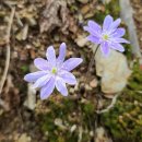 정서진로 이미지