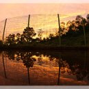 저녁노을 이미지