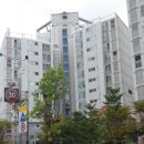 풍무초교 네이버블로그