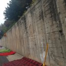 서부초등학교후문 이미지