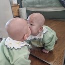 하늘의별어린이집 | 하늘썬별 걸음마보조기 5in1 baby walker train 찐 구매 후기