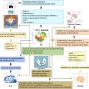 Ketogenic diet for human diseases. 2022년 nature 이미지