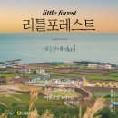 혼자 출발한 제주여행 : 트래블서치 리틀포레스트 2023