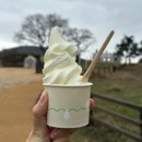 동백목장 | 제주서쪽코스 성이시돌목장 주차 입장료 소요시간 1월에 다녀온 상세 후기