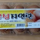 일심농장 이미지