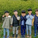 삼학도 중앙공원 이미지