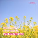 프레스토음악학원 이미지