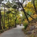 옥순봉길 | 9th 백패킹. 제천 정방사~손바닥데크~학봉데크 / 금수산 훑기(1/2)