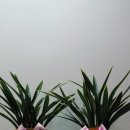 대훈유통 이미지