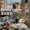 코지모지 | 부산 광안리 소품샵 "코지모지" & "띵스오브노트" 후기 / 고양이2마리랑 느낌있는 그릇 많은 곳