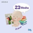 이가네서울국밥 | 임신 23주차 태교여행 추천 부산 원데이클래스 &amp; 일산 차 산모대학 후기