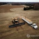 이귀원 농장 이미지