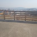 양평부동산카페공인중개사사무소 이미지