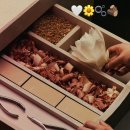 이솝어린이집 | 이솝 향수 추천 오르너aurner |구매후기•지속력•계절