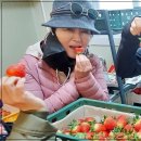 농장다리