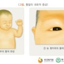 맥진모유수유클럽 이미지