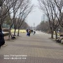 호수공원 한바퀴.2025년12월 20일(土) 4,515회 산행. 이미지