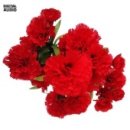 씨 없는 수박 김대중 카카오 검색결과