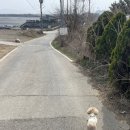 화수호