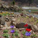 미완성농장 이미지