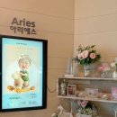 대전 돌잔치 베스타 아리에스룸 솔직 후기 (포토테이블, 답례품, 이벤트선물, 돌잔치꿀팁)