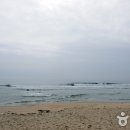 화진포 관광안내소 이미지