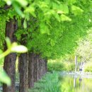 서울숲4 이미지