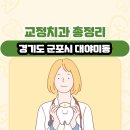 대야빌딩 | 경기도 군포시 대야미동 교정치과 총정리