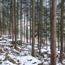 편백숲관광안내소 이미지