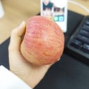 리더스팜