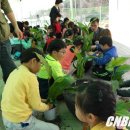 임당초등학교 이미지