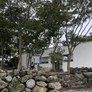 카페 산 | 제주도 동쪽 핫한 카페_나와산 (평일 방문 솔직후기)