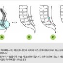 라임나무한의원 이미지