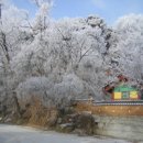 황토참숯가마 이미지