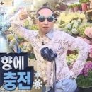 팔공산오리 이미지