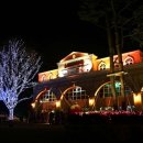 웰빙건강랜드 이미지