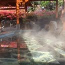 (주)척산온천휴양촌