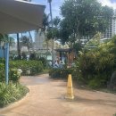 론스타호텔 | 괌 마지막날 호텔 수영장 이용후기 , 론스타스테이크 가게 추천 , 도스버거 후기