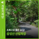 7월31(금)12시ㆍ안양역＞안양예술공원＞삼성산산림욕장발길따라걷고 물에 풍덩 이미지