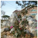 동산자연어린이집 이미지