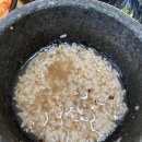 서원추어탕 | [맛집이래] 청주 추어탕 맛집 -가마리추어탕 /내돈 후기