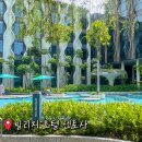 오션이스트스튜디오 | 섬 호텔 추천 빌리지 호텔 센토사 바이 파 이스트 호스피탈리티 수영장! 유니버셜 스튜디오 숙소 셔틀