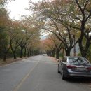 살미농장 이미지